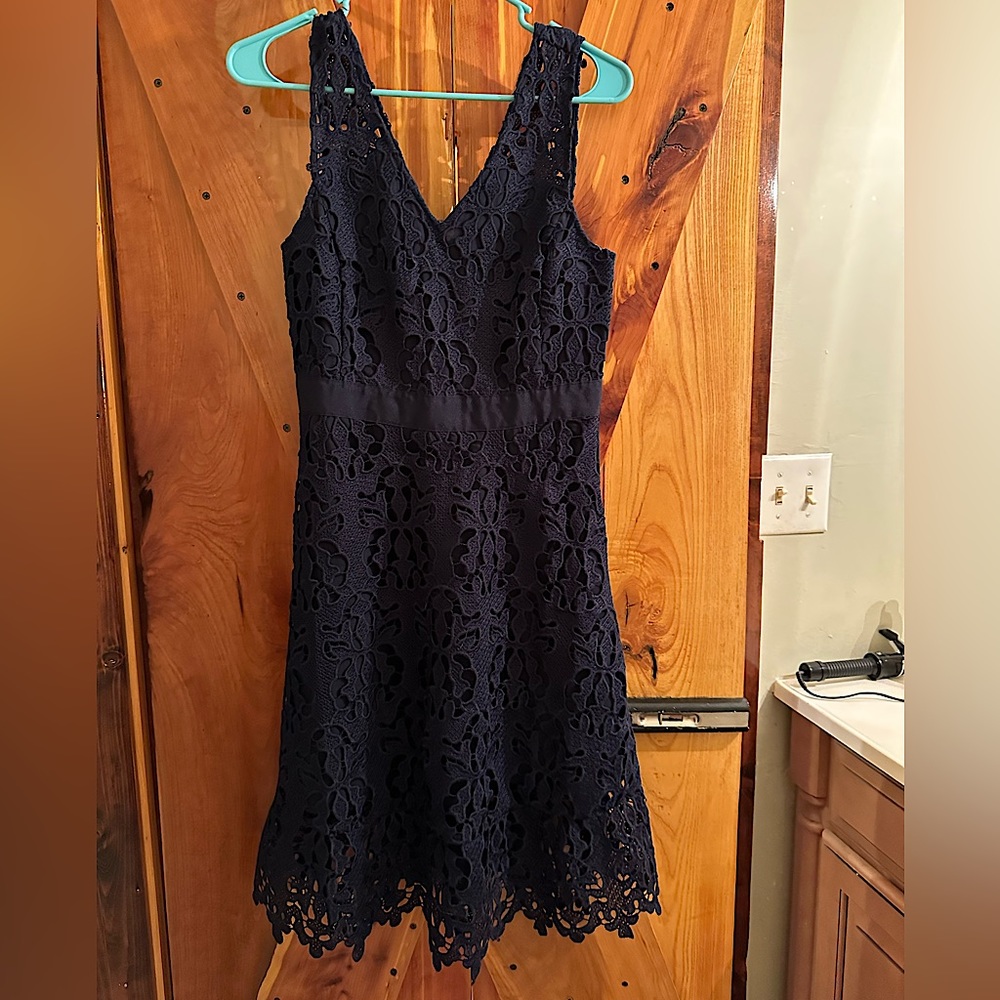 Banana Republic Navy Fit and Flare Lace Dress